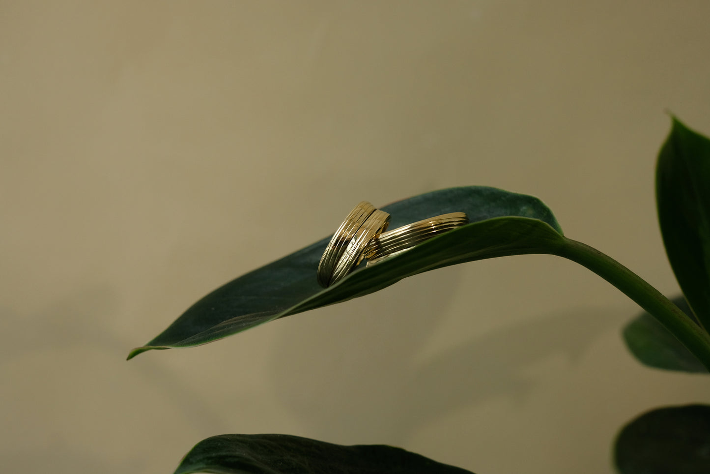 Cordate Ring