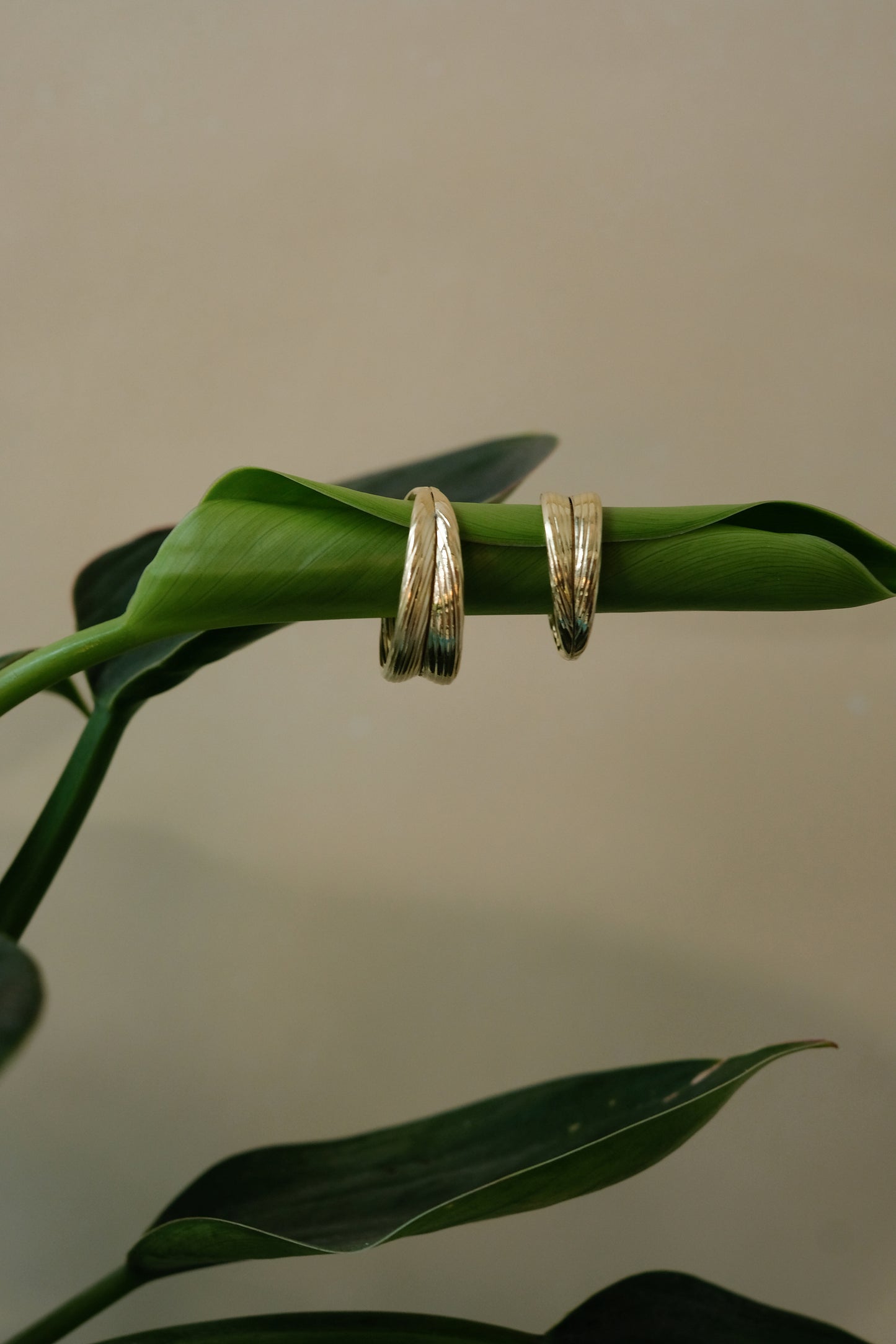Cordate Ring