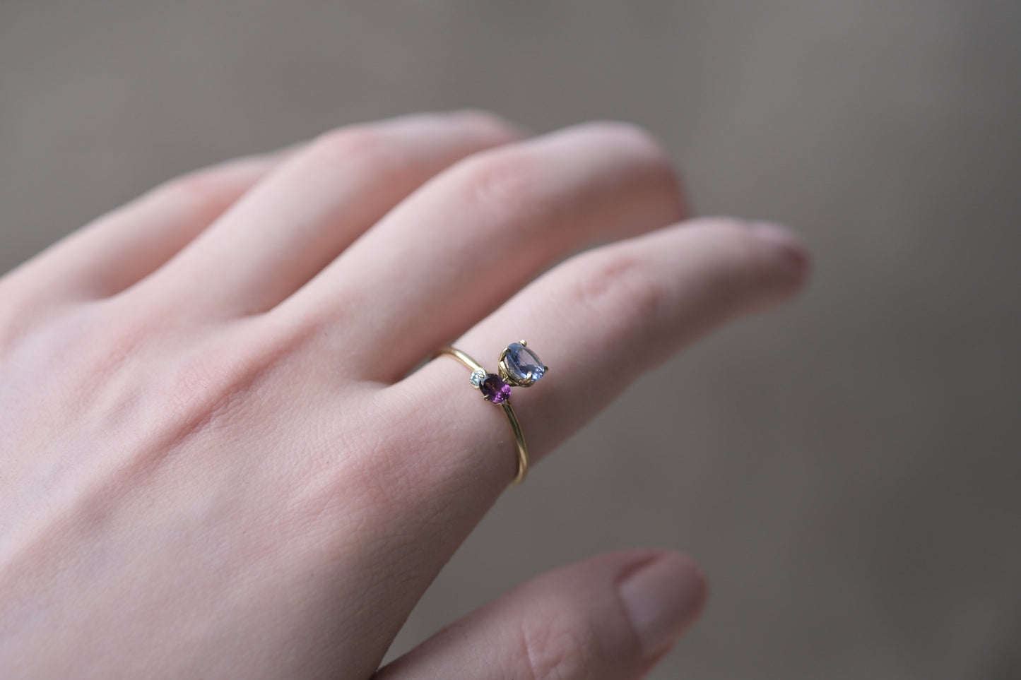 Tanzanite and Almandine Pirouette Ring