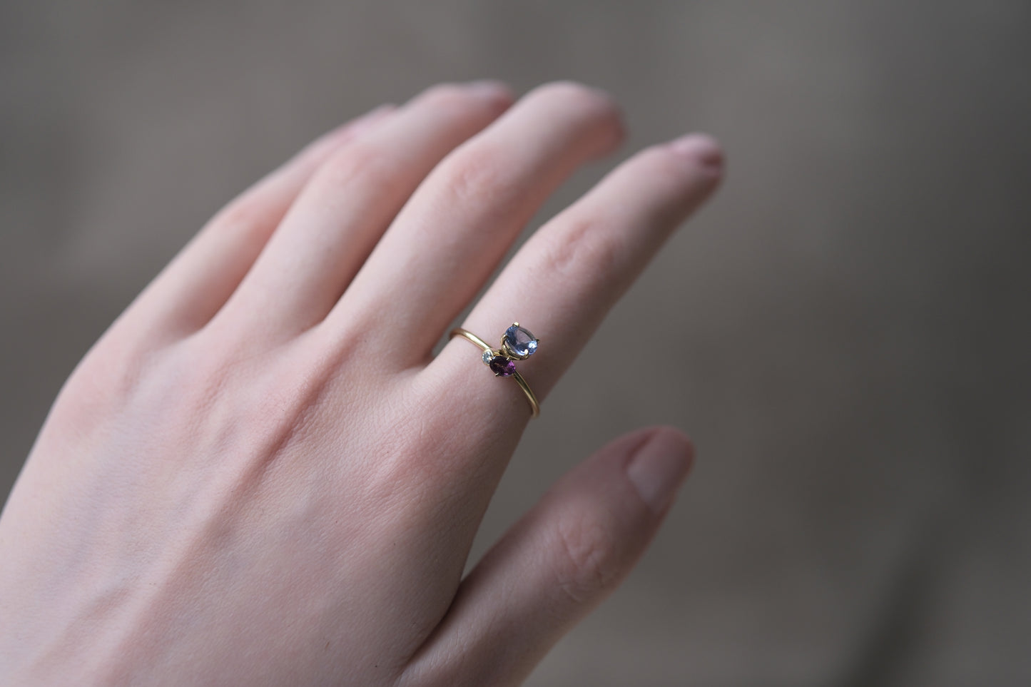 Tanzanite and Almandine Pirouette Ring