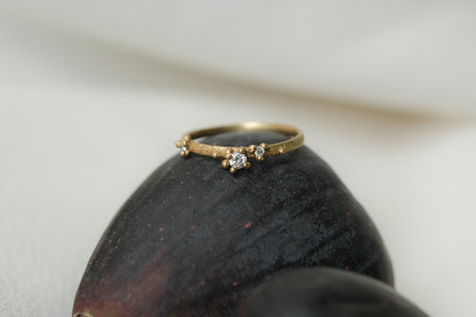 Diamond Stardust Band