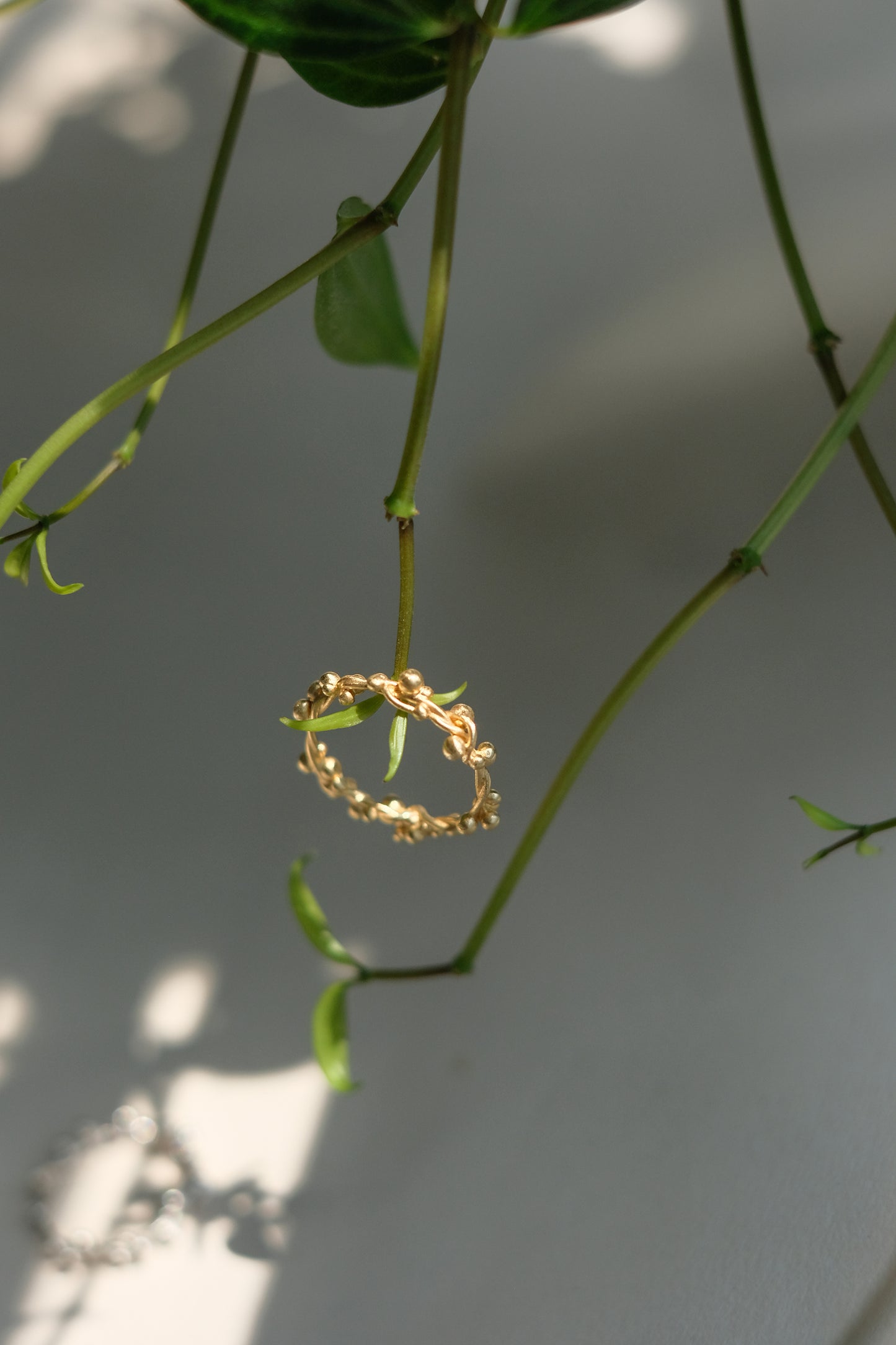 First Frost Ring