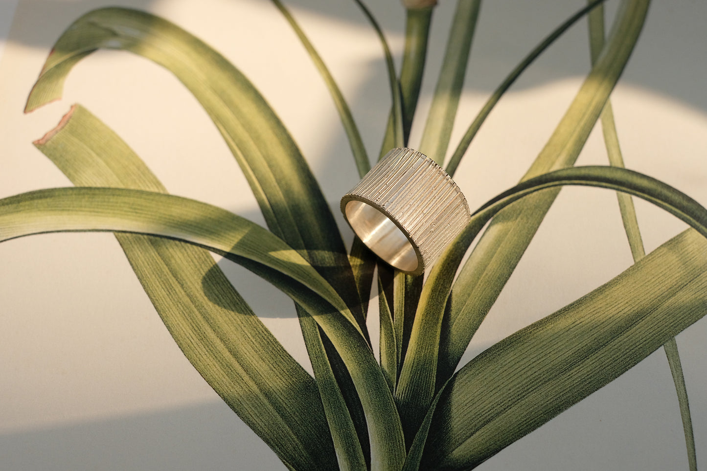 Linear Ring