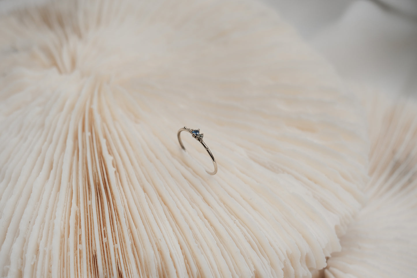 Mini Stardust Ring