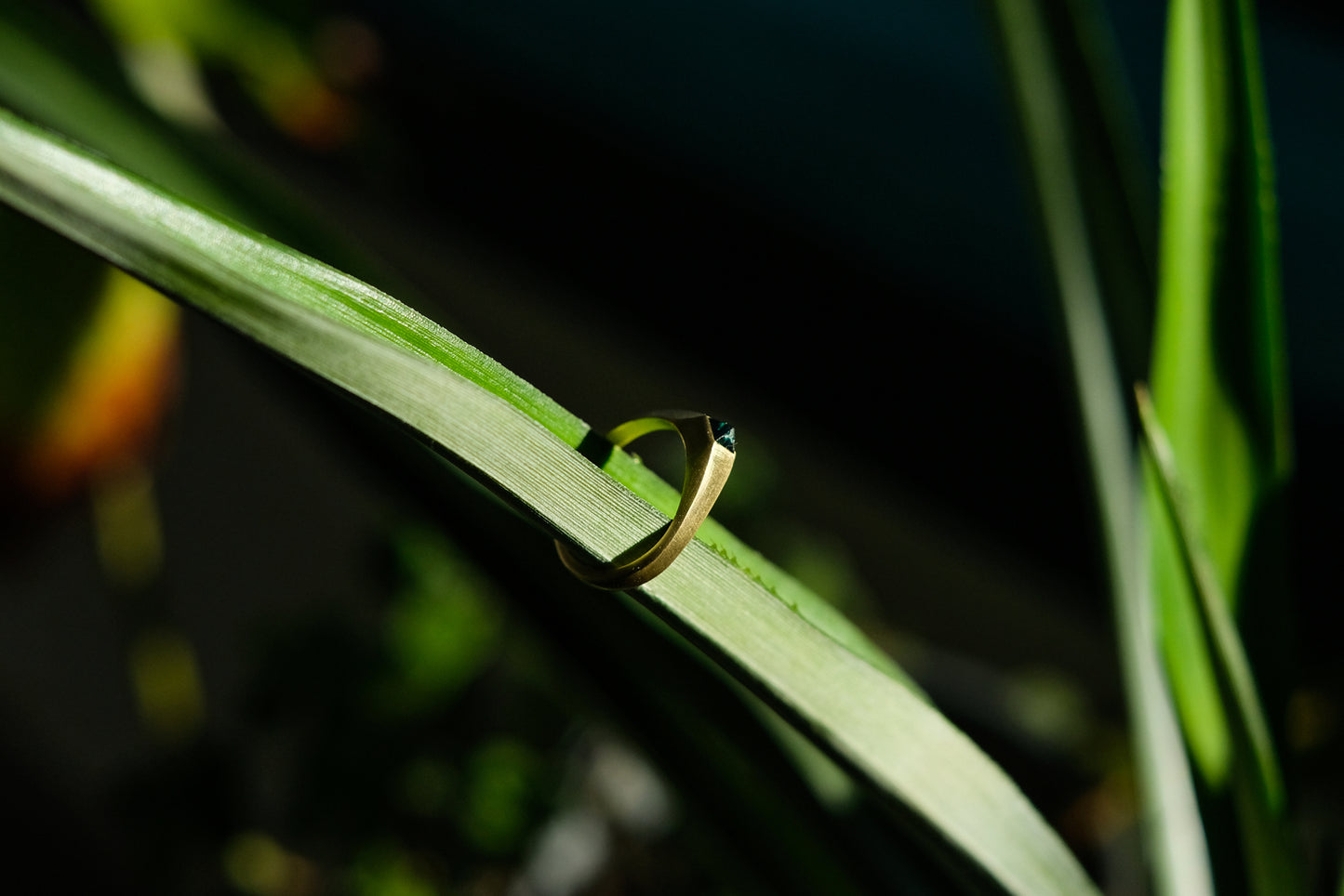 Renaissance Series Stirrup Tourmaline Ring