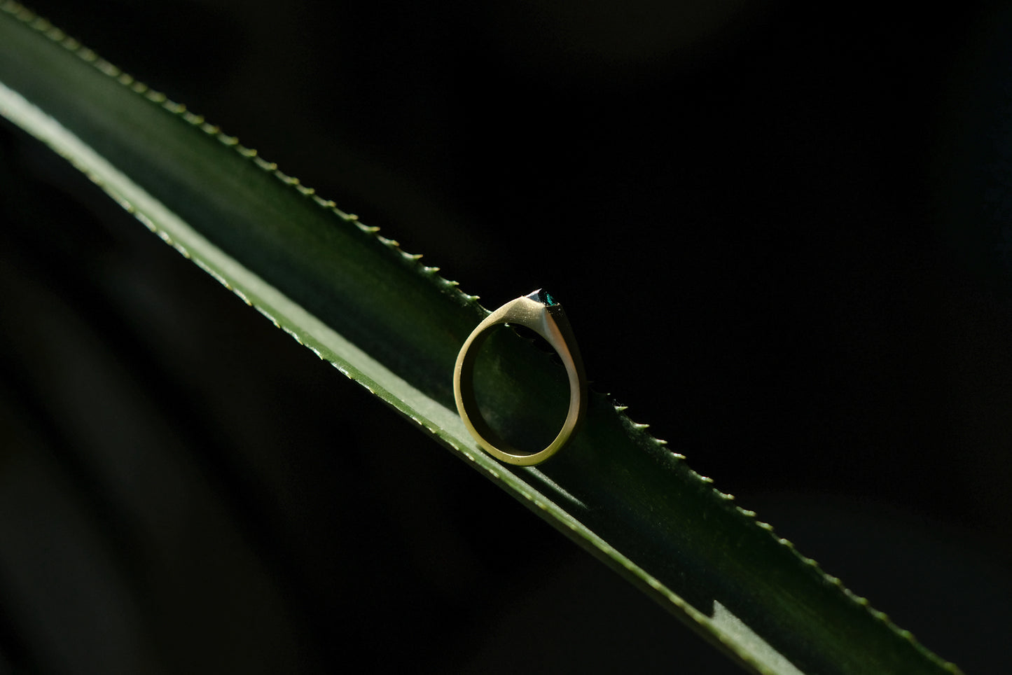 Renaissance Series Stirrup Tourmaline Ring