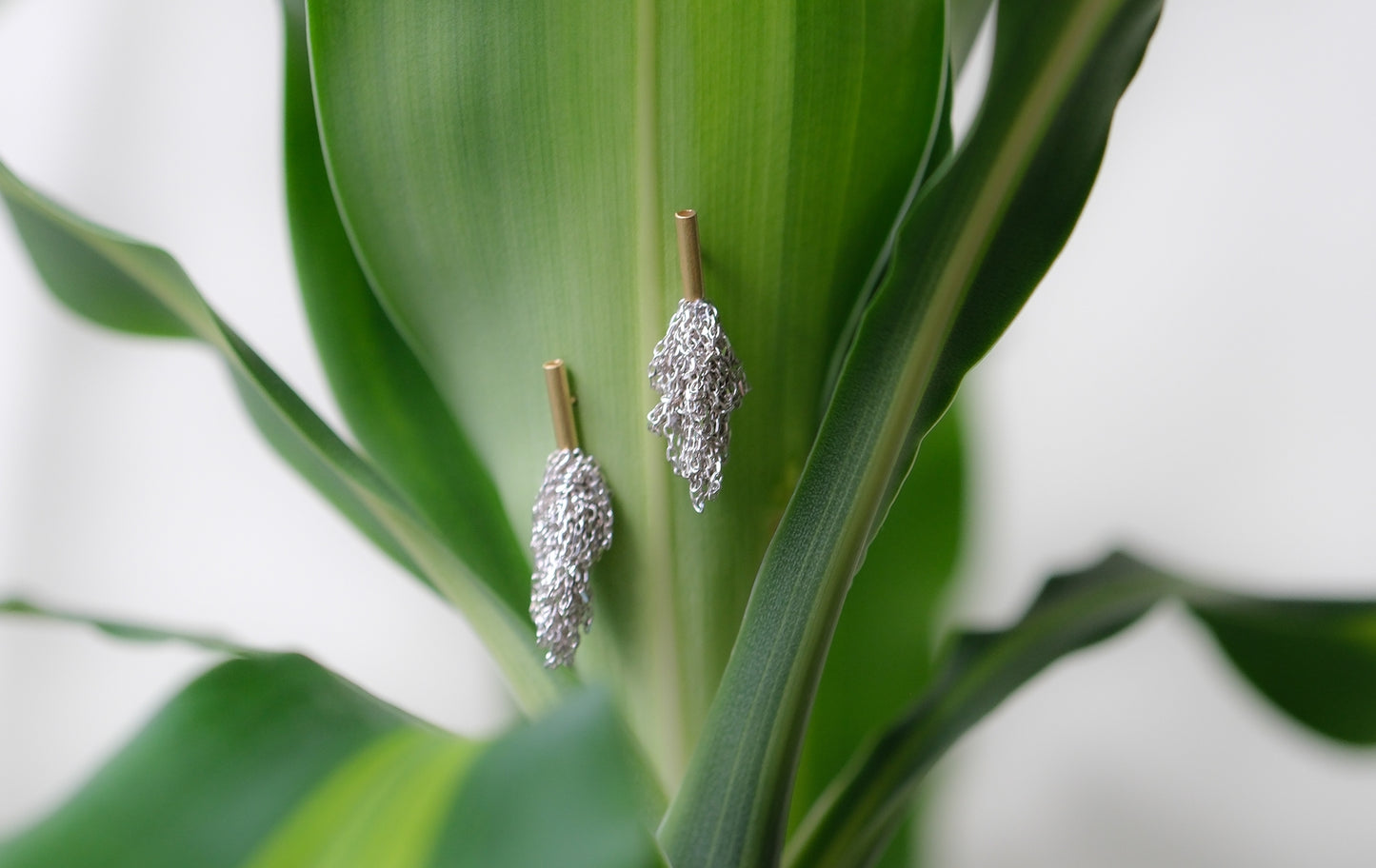 Tangled Earrings