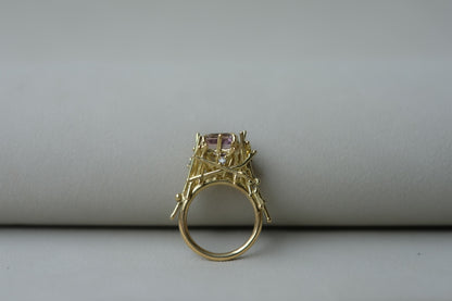 Ametrine Nova Ring