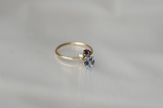 Tanzanite and Almandine Pirouette Ring