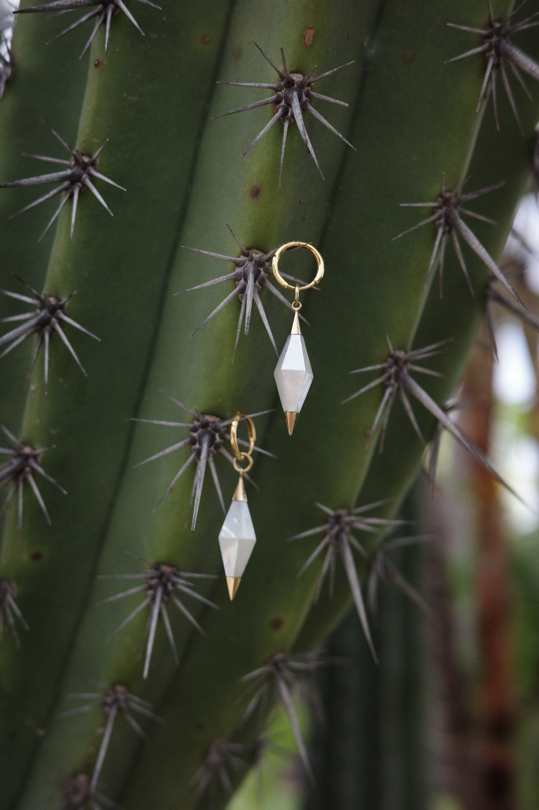 Tarlati Pentara Earrings