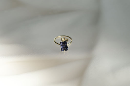 Purple Iolite and yellow Beryl Pirouette Ring